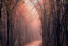 河南2-0K2队!浙江花700万引童磊孙国文!有这钱何不留下莱昂纳多.