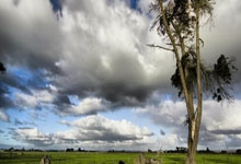 里昂女足4-1大胜拜仁女足,总比分6-1晋级女足欧.