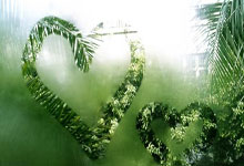 爱游戏:多支队伍首次亮相!哈尔滨亚冬会,参赛人数创纪录环球时报.